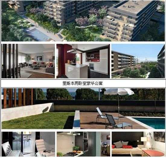 稳中求进每月看