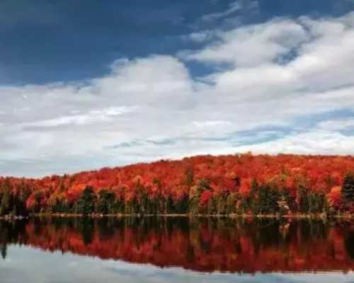 香港一周 | “五一”香港开启人海模式，首两日约160万人次出入境