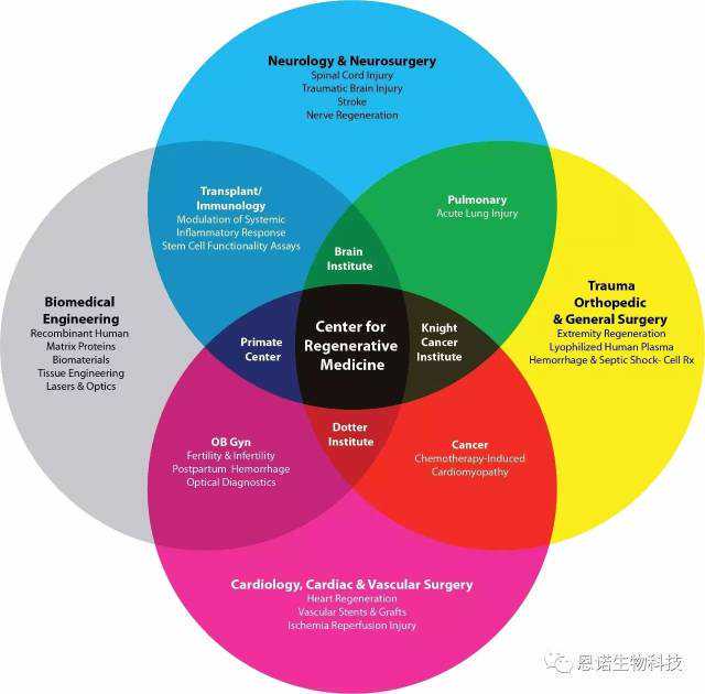 别让“聪明”背锅了！焦虑的脑袋才不长毛