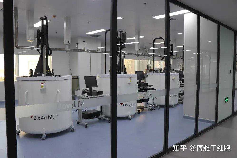 脱胎换骨的医术——骨头移植