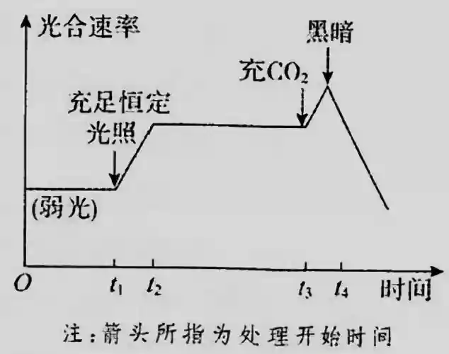 江苏省常熟市2022届高三上学期阶段性抽测一+生物