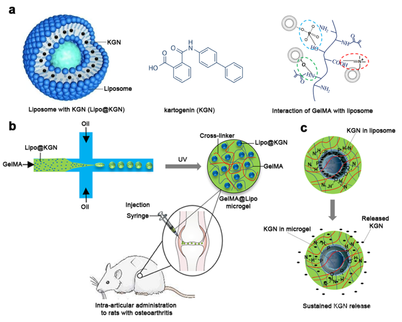 “60后”捐献造血干细胞，系福建年龄最大捐献者