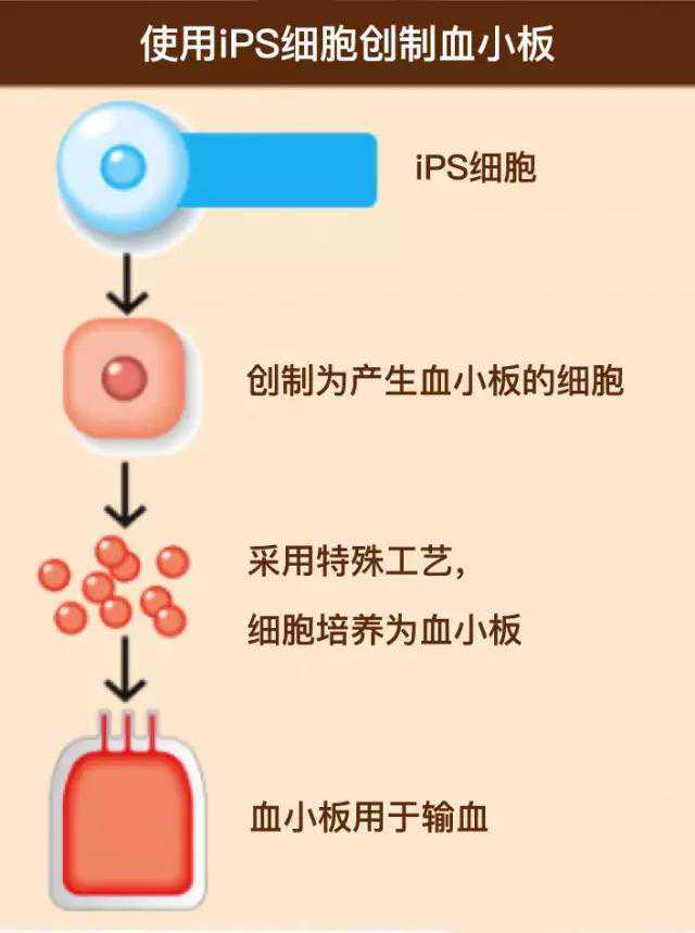 肝病患者为什么会出现黄疸？真假黄疸傻傻分不清？一文读懂黄疸症