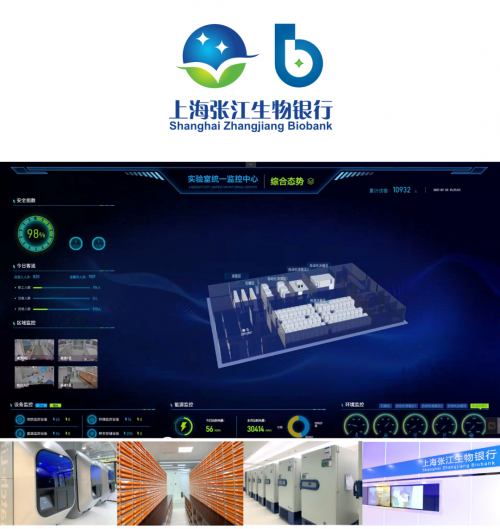 从MDS/MPN到PMF，小巨核细胞带来的思考